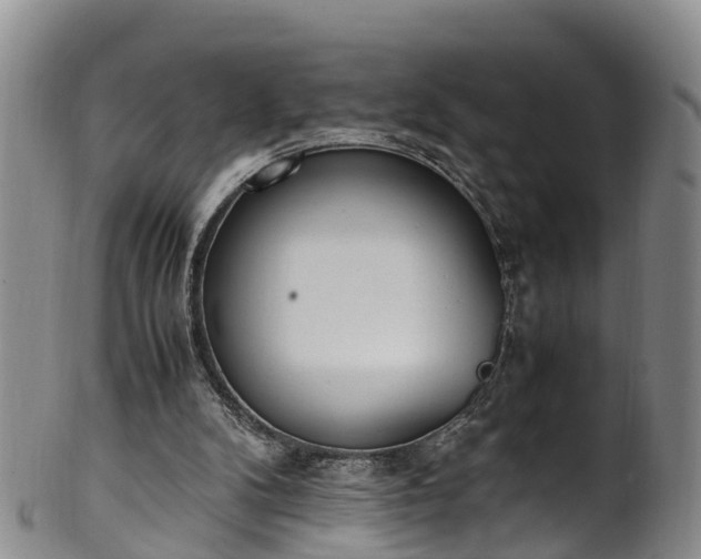 X0000102370104200808081201