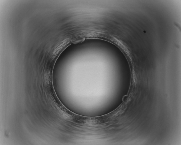 X0000102370105200808081201