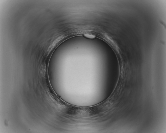 X0000102370107200808081201