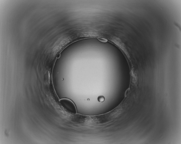 X0000102370109200808081201