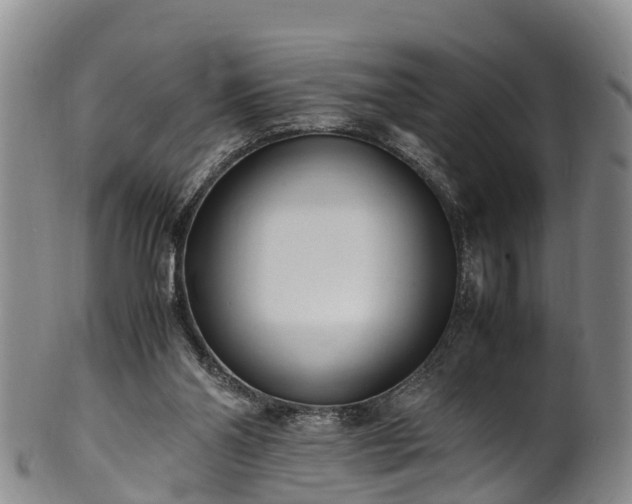 X0000102370110200808081201