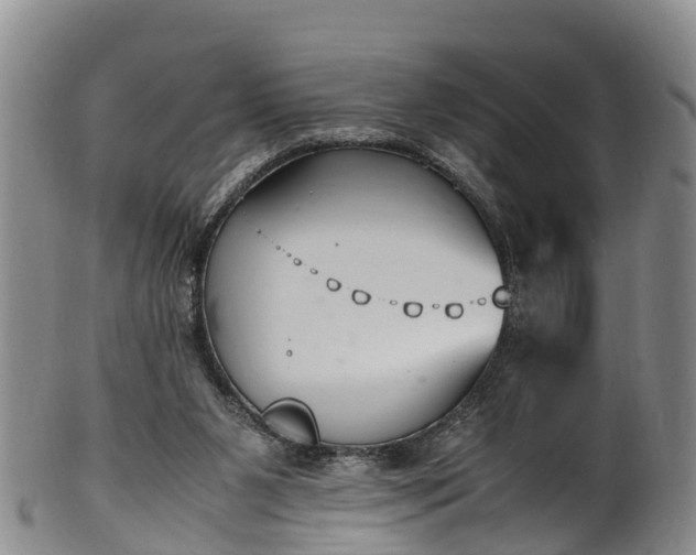 X0000102370111200808081201