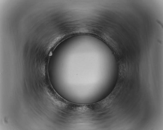 X0000102370112200808081201