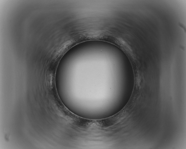 X0000102370115200808081201