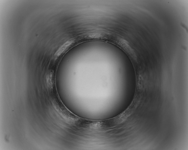 X0000102370116200808081201