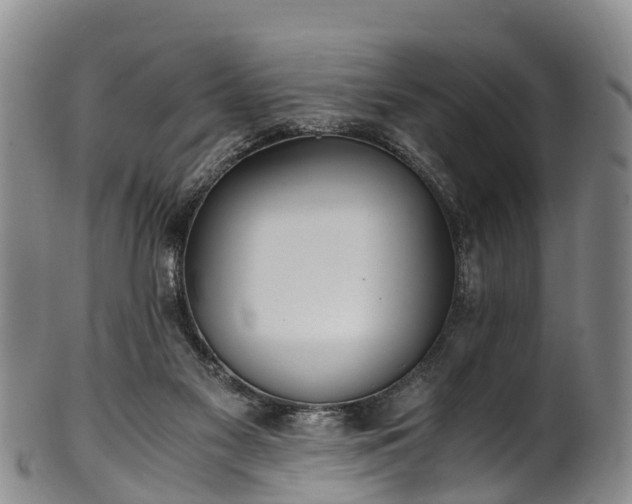 X0000102370117200808081201