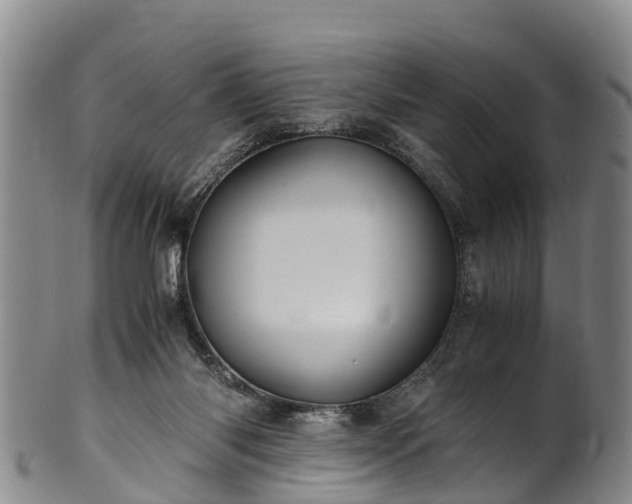 X0000102370118200808081201