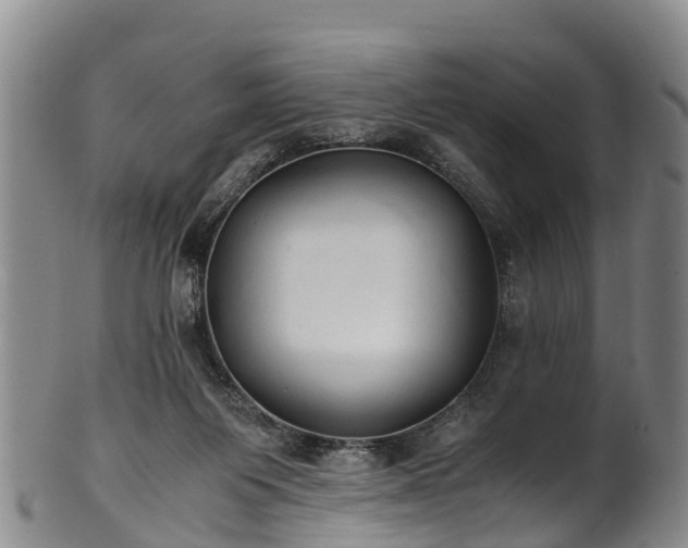 X0000102370119200808081201