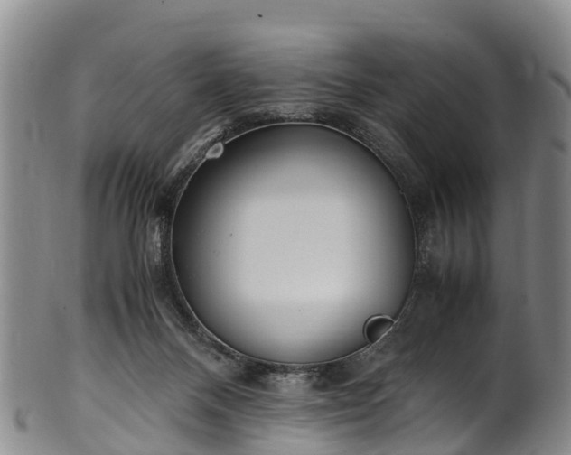 X0000102370120200808081201