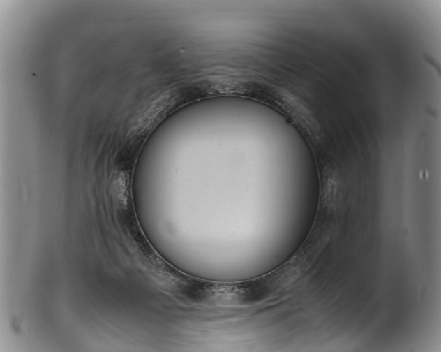 X0000102370121200808081201