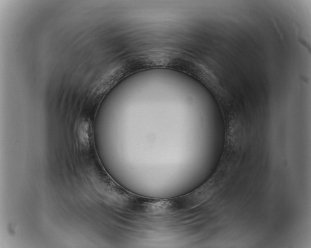 X0000102370122200808081201