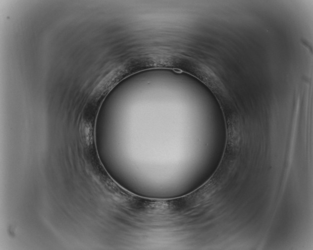 X0000102370123200808081201