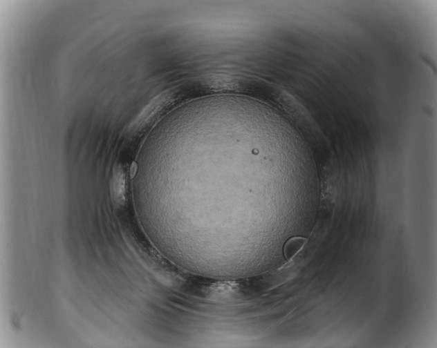 X0000102370124200808081201