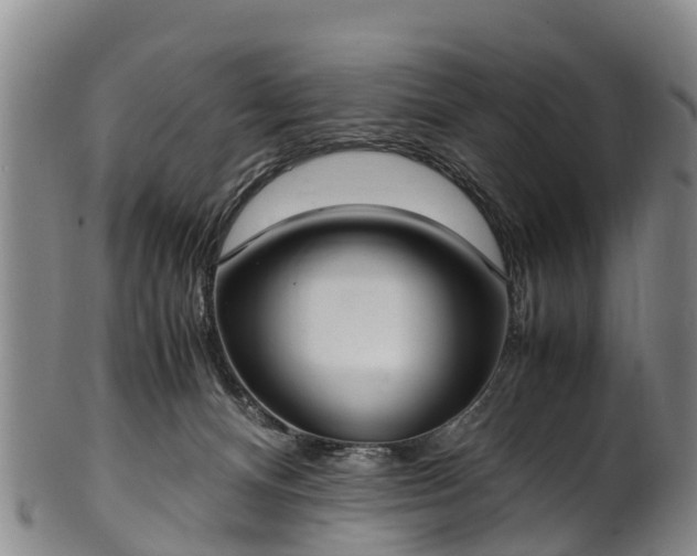 X0000102370128200808081201