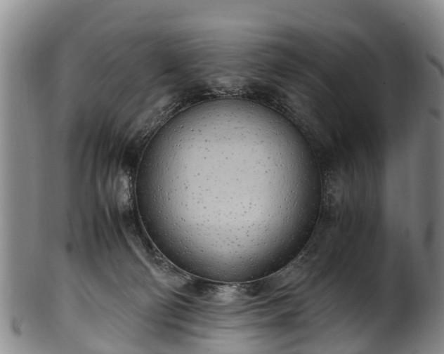 X0000102370130200808081201