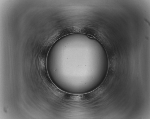 X0000102370131200808081201