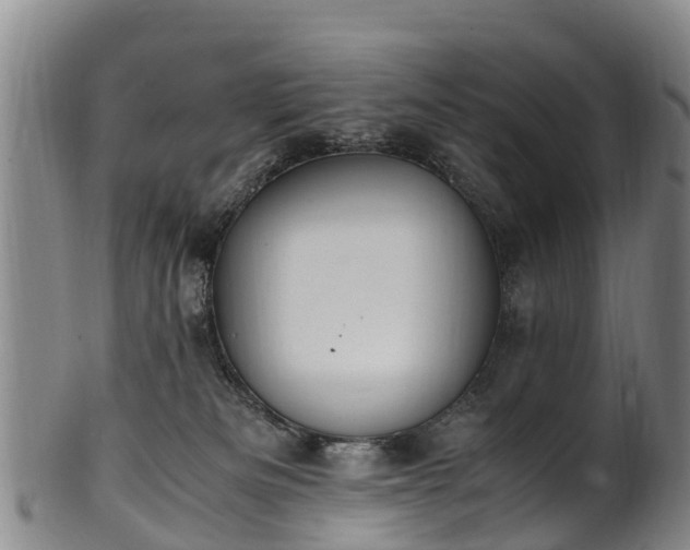 X0000102370133200808081201