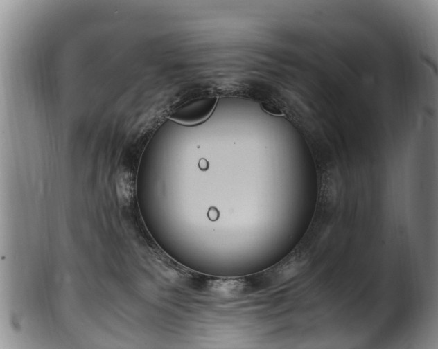 X0000102370135200808081201