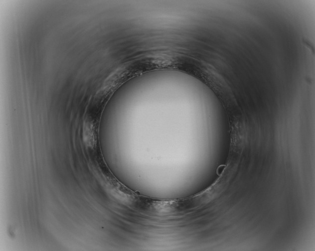 X0000102370136200808081201