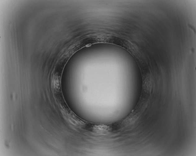 X0000102370137200808081201