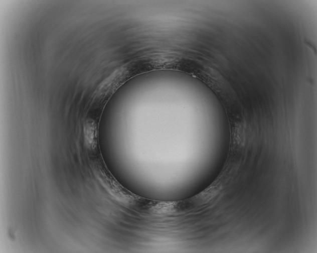 X0000102370138200808081201