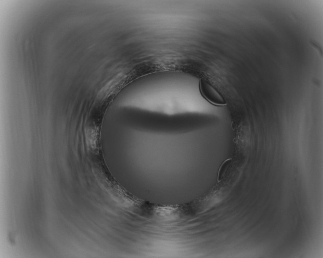 X0000102370139200808081201