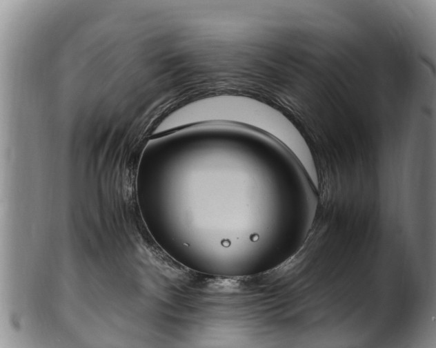 X0000102370140200808081201