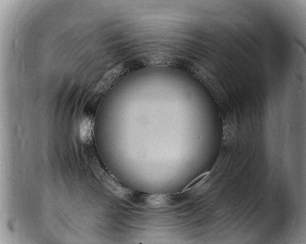 X0000102370142200808081201