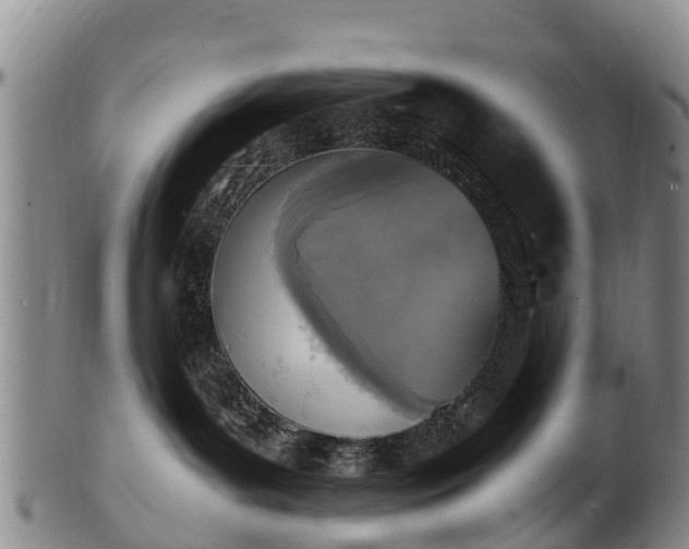 X0000102370143200808081201