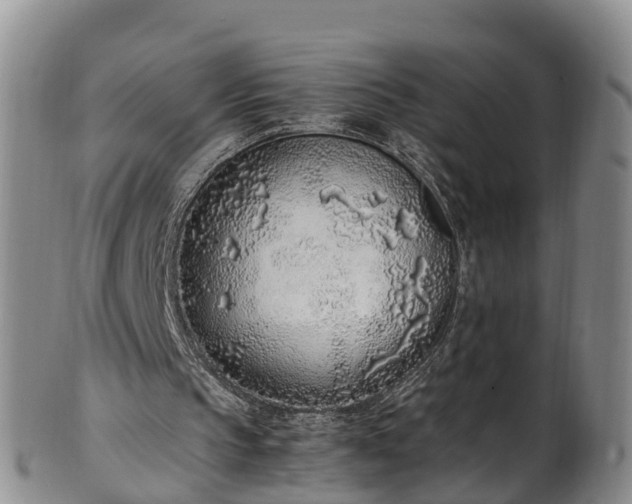 X0000102370145200808081200