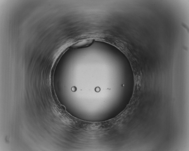 X0000102370148200808081200