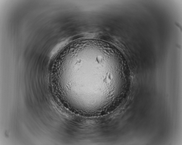 X0000102370149200808081200