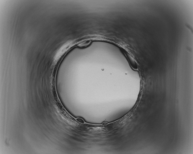 X0000102370151200808081200