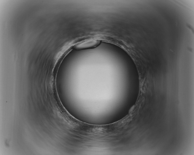 X0000102370152200808081200