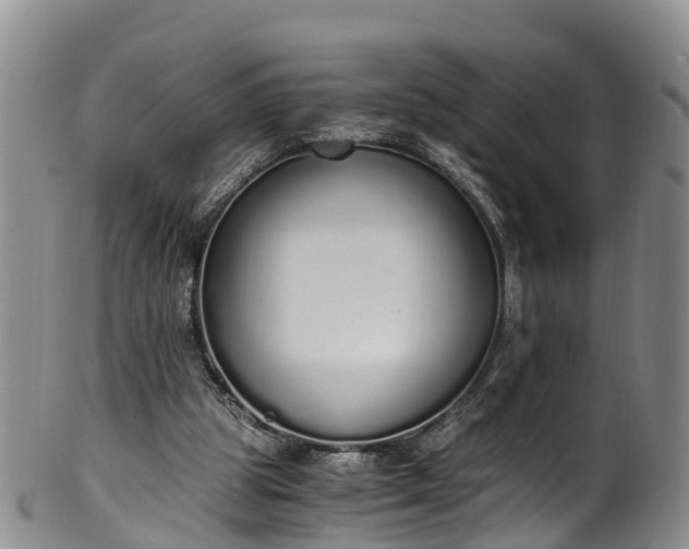 X0000102370153200808081200