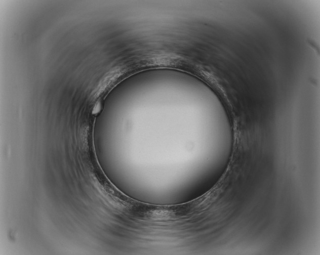 X0000102370154200808081200