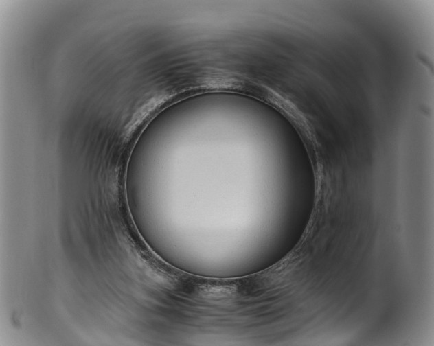 X0000102370155200808081200