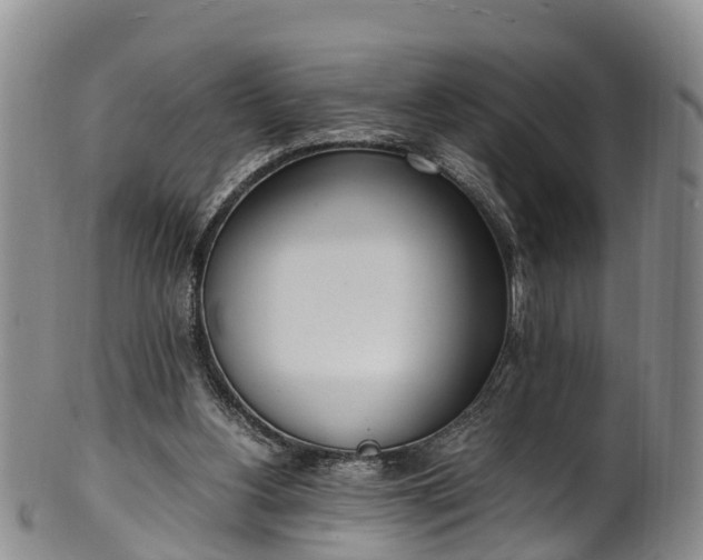 X0000102370156200808081200