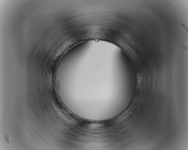 X0000102370158200808081200