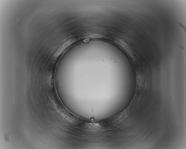 X0000102370159200808081200