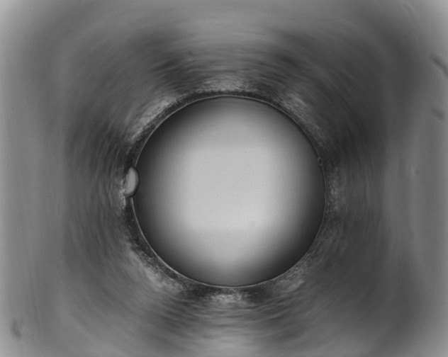 X0000102370160200808081200