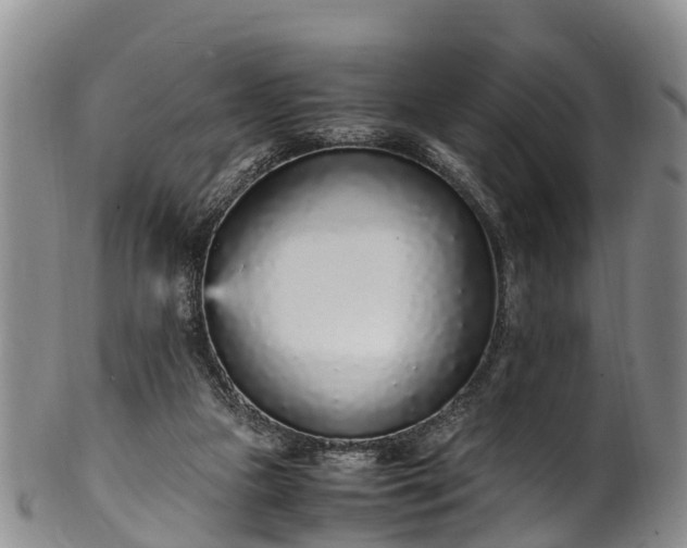 X0000102370161200808081200