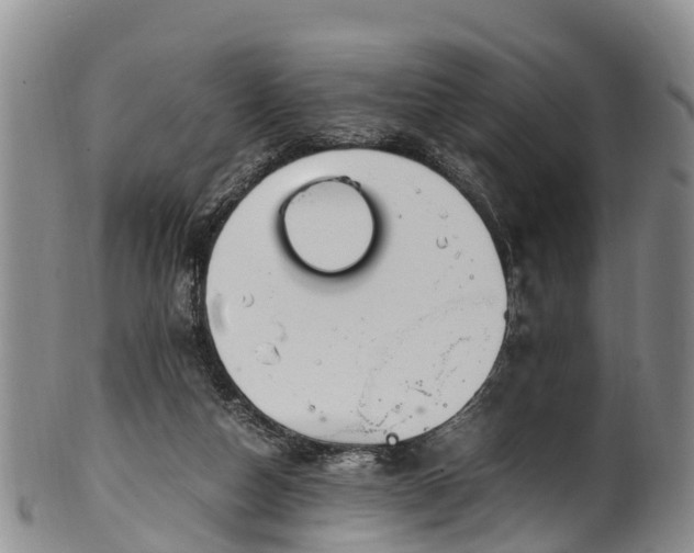 X0000102370162200808081200