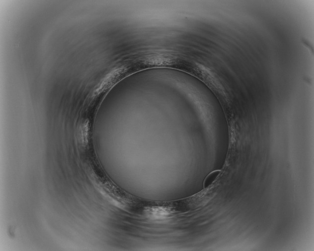 X0000102370163200808081200