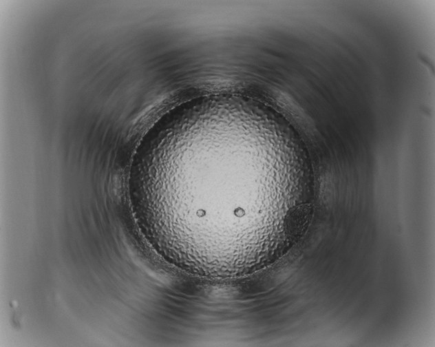 X0000102370165200808081200