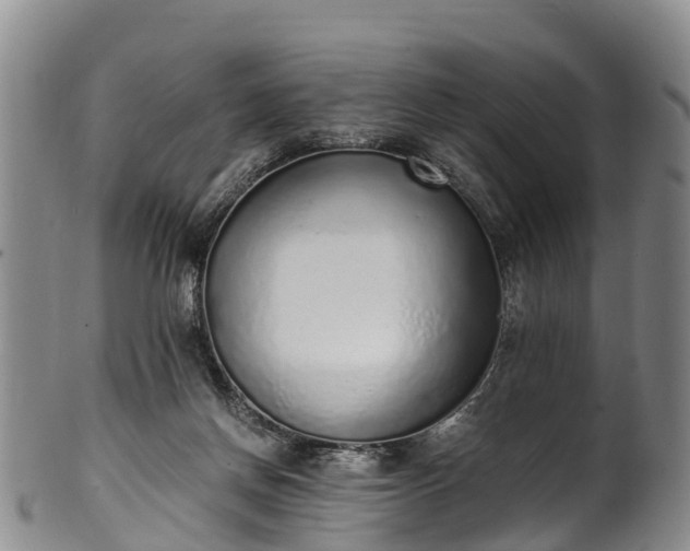 X0000102370166200808081200