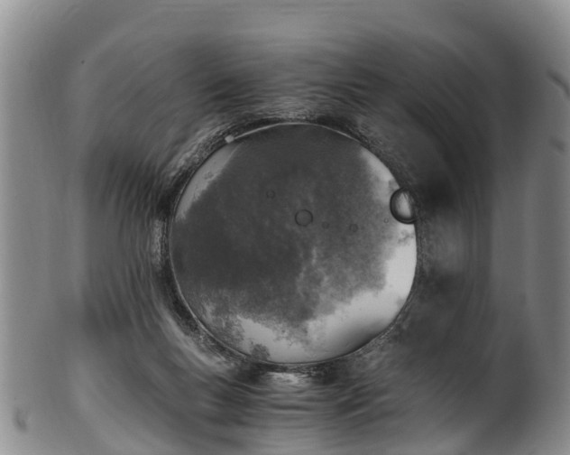 X0000102370167200808081200