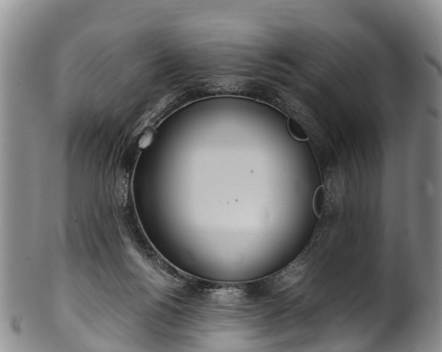 X0000102370168200808081200