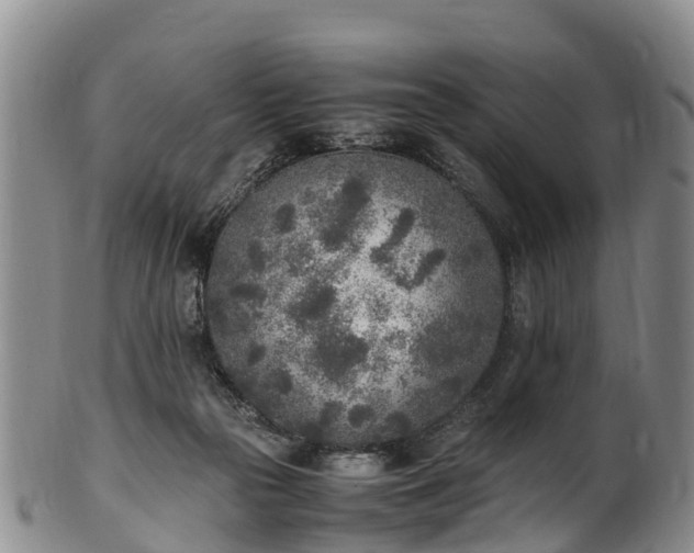 X0000102370169200808081200