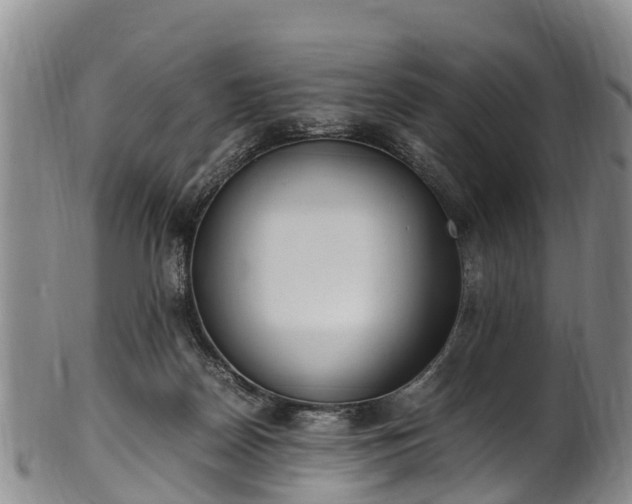 X0000102370170200808081200